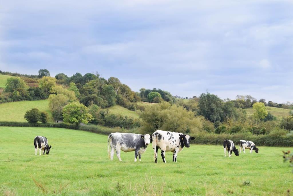 Nr Bicester Village 5 Star Luxury On Farm Piddington Екстериор снимка